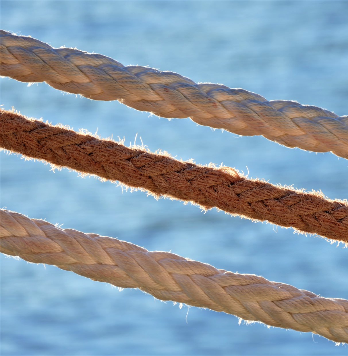 Wagram Consulting - Pour les entreprises